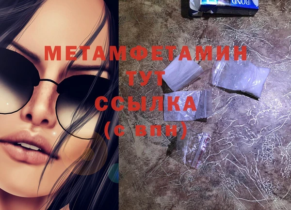 гидра Михайловка